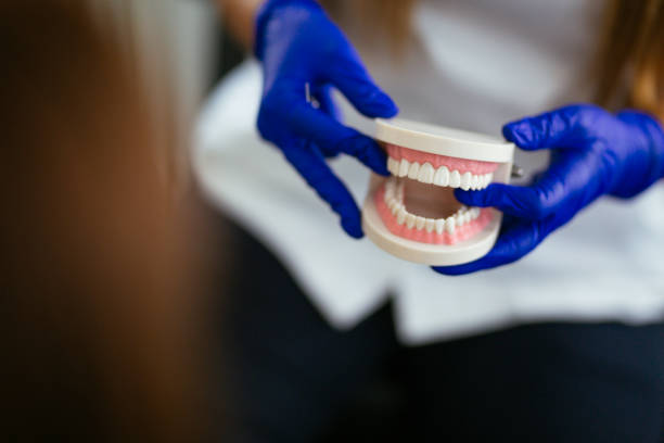 Best Traditional Braces  in Rockville, IN